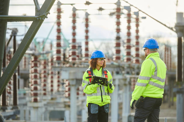 Best Electrical System Inspection  in La Nte, MO